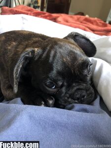 emily rinaudo new hot onlyfans leaked nudes