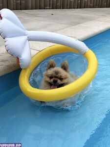 siswet19 hot onlyfans leaked nudes