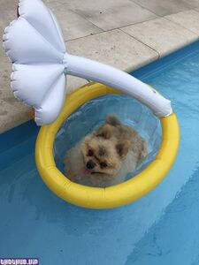 siswet19 hot onlyfans leaked nudes