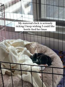 SiegeXXX new hot onlyfans leaked nude