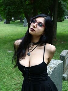 thevixenfiles onlyfans leaks nude photos