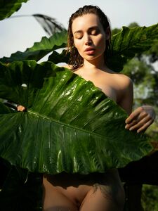 Aliceredlips Onlyfans Leaks Latest Nude Photos